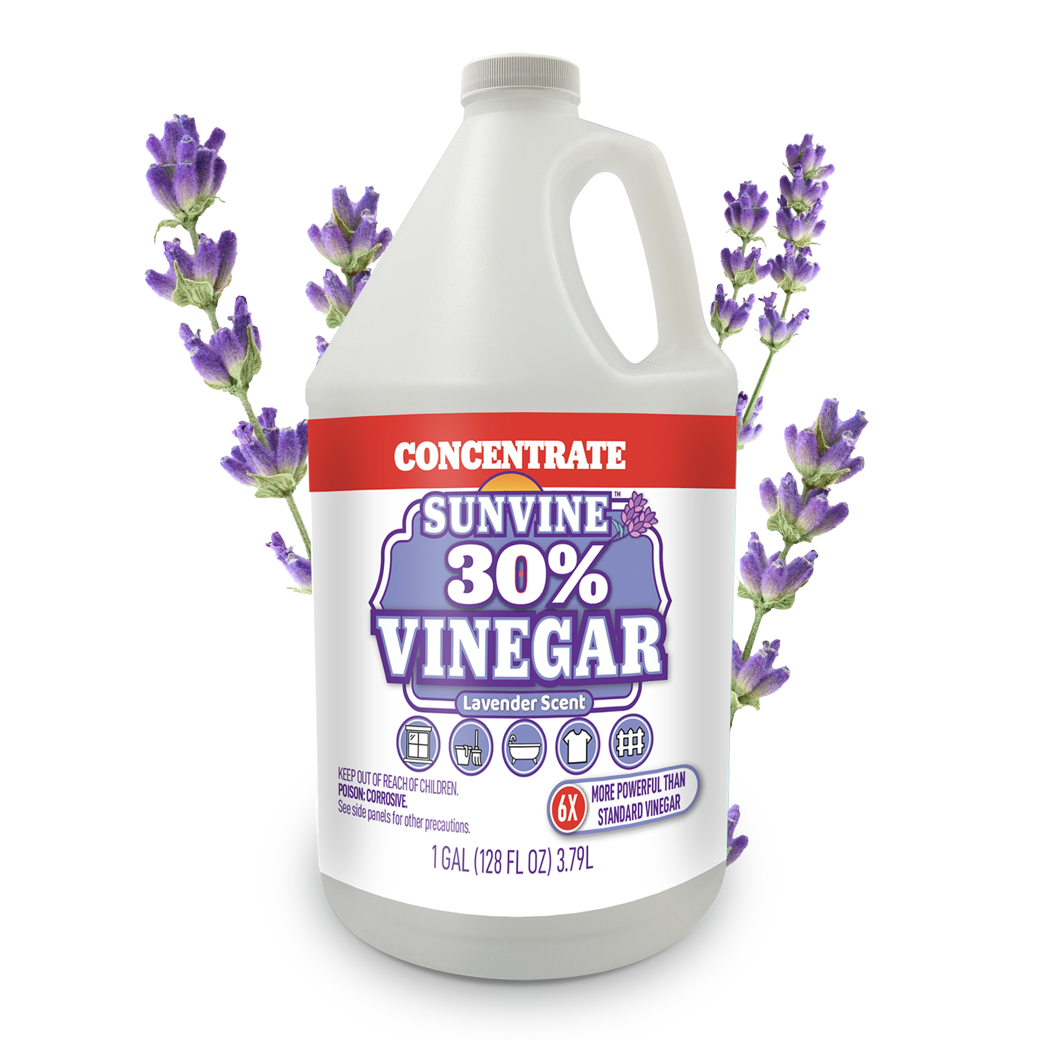 Sunvine Lavender