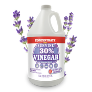Sunvine Lavender
